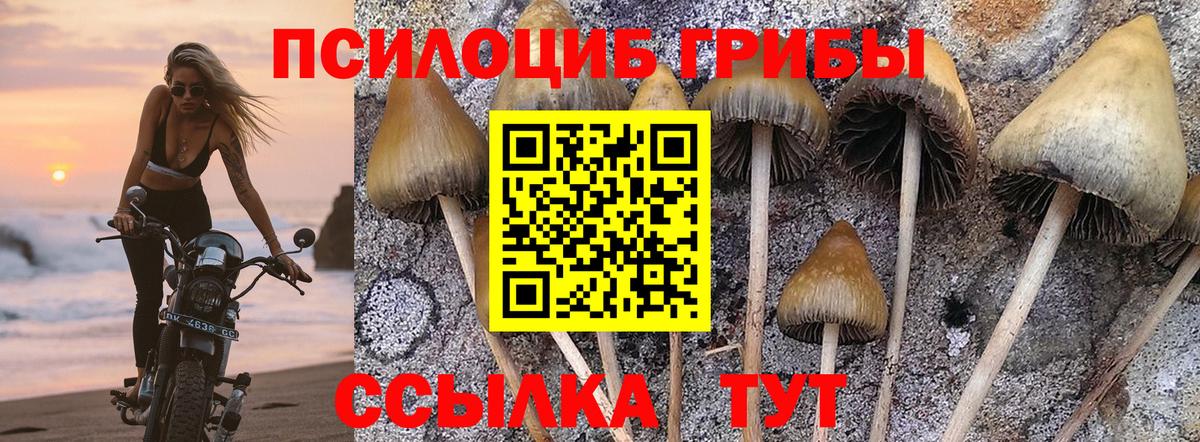 Галлюциногенные грибы GOLDEN TEACHER Семилуки